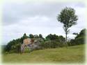 Nevera