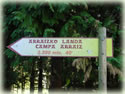 Arraiz