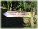 Camino Antiguo